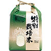 アサヒパック ひも付きクラフト米袋 窓付 青海波・特別栽培米 2kg用 （200枚）